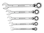 Parkside Ratchet - 5 Piece Set