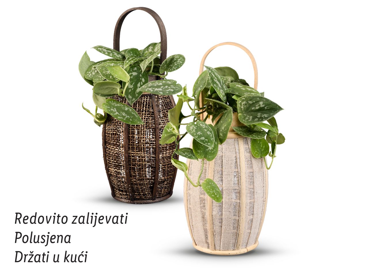 Dvije biljke u pletenim košarama s uputama za njegu.