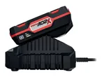 Two X20V TEAM batteries on a charger.