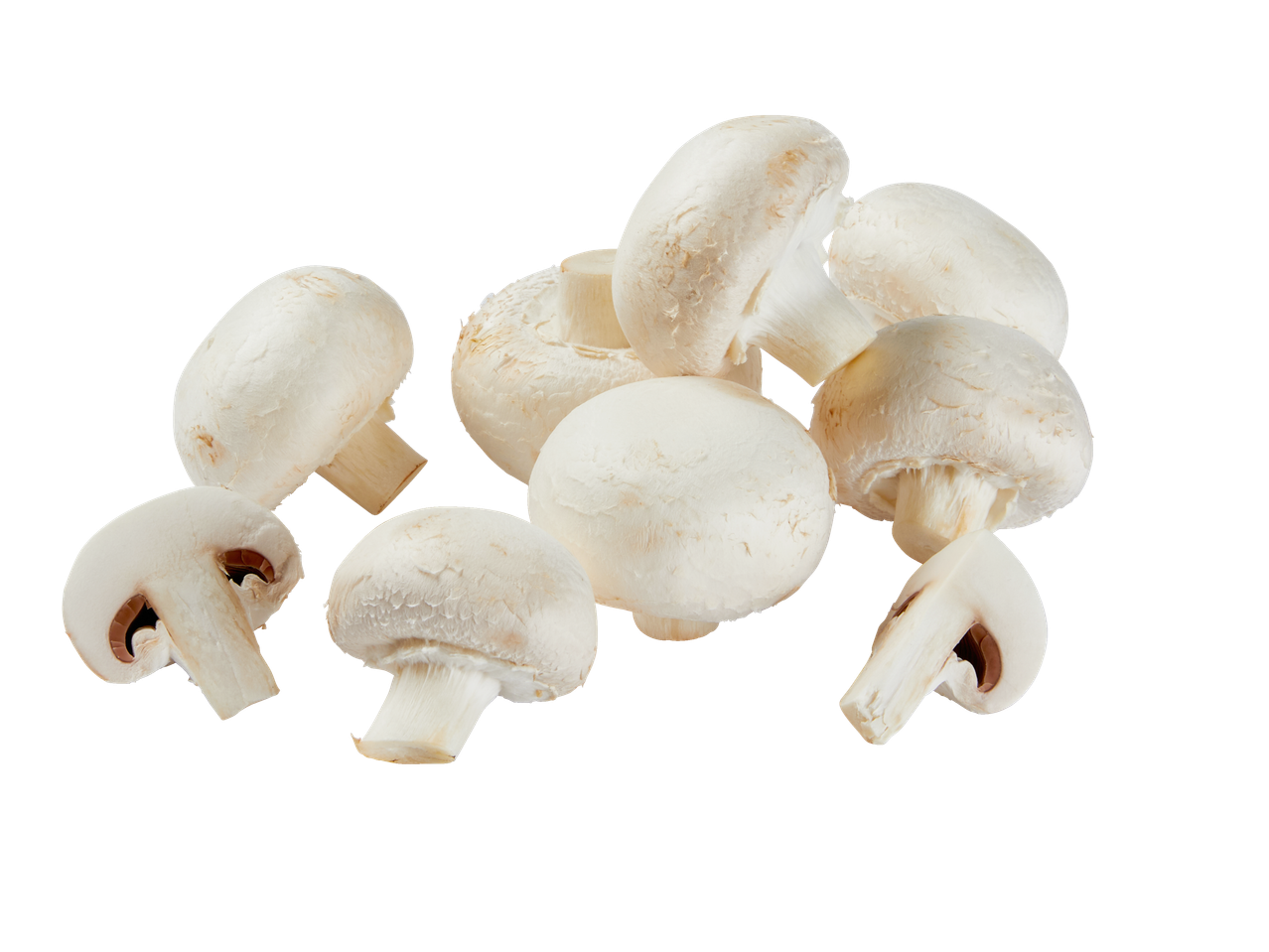 Valged šampinjonid valgel taustal.