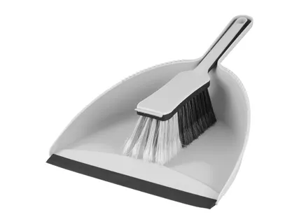 Silver Dustpan and Brush Set