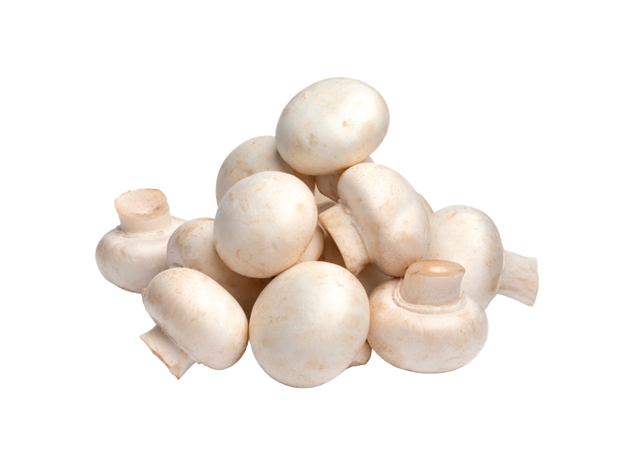 Gomila svežih belih šampinjona