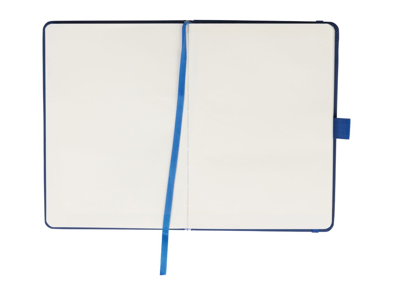 Open blank notebook with blue cover and ribbon bookmark.