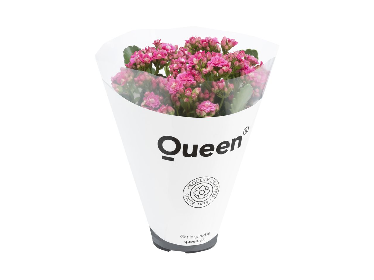 Pink Kalanchoe buket fra Queen.