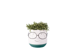 Uma planta feliz de óculos.
