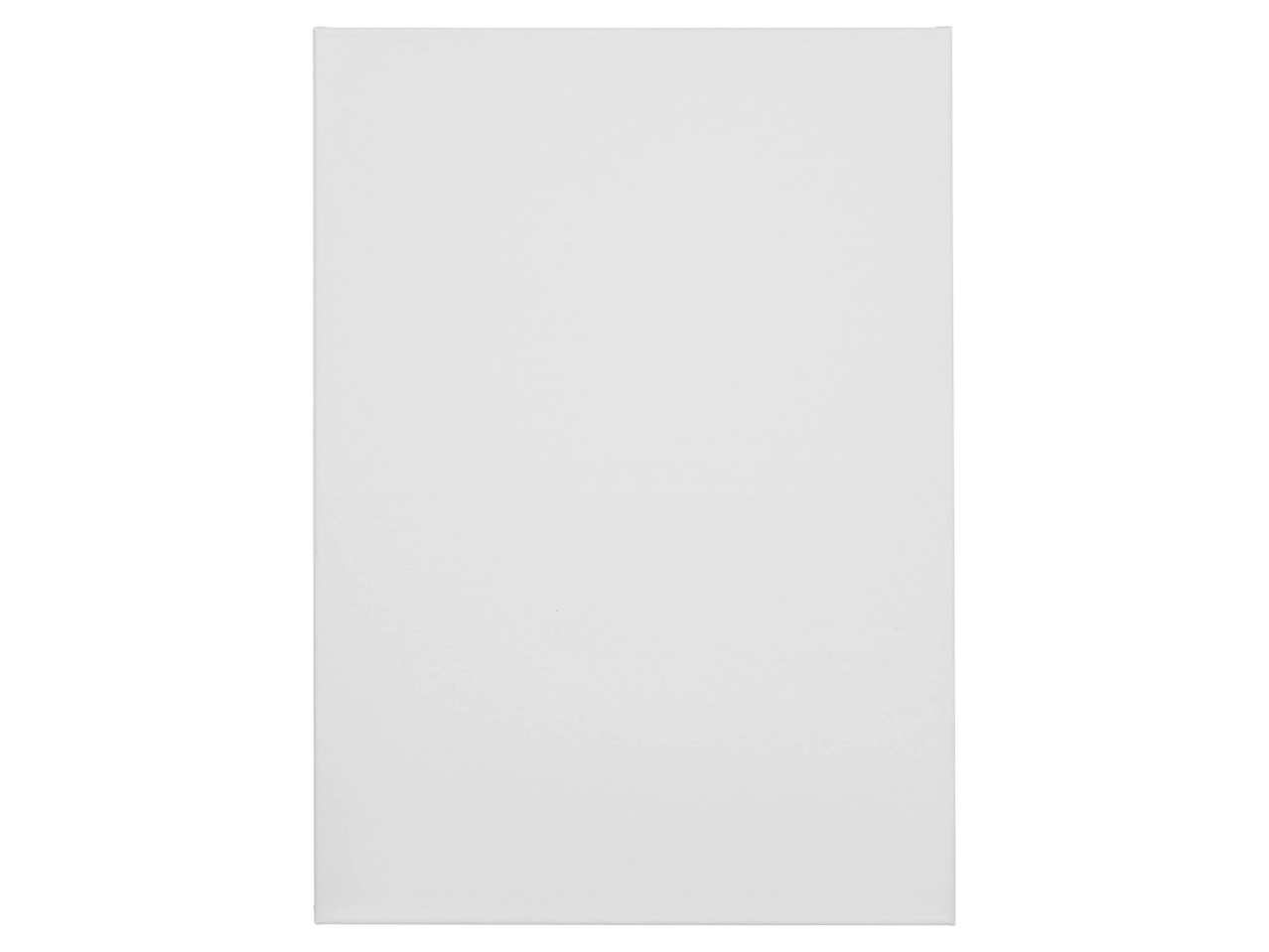 A plain white rectangular canvas or board 