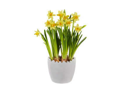 Nárcisz kerámiában*