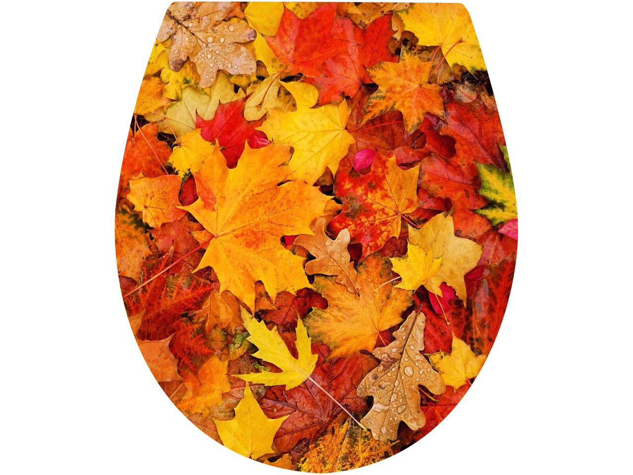 Autumn leaves toilet seat cover.