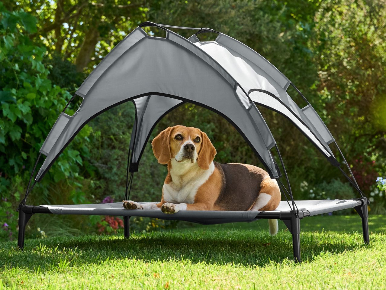 A beagle dog rests on a raised dog bed with a grey sun canopy in a sunny garden.
