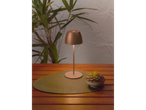 A modern table lamp and a succulent plant on a wooden table.