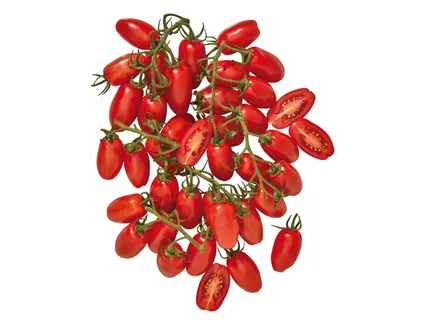 San Marzano paradicsom