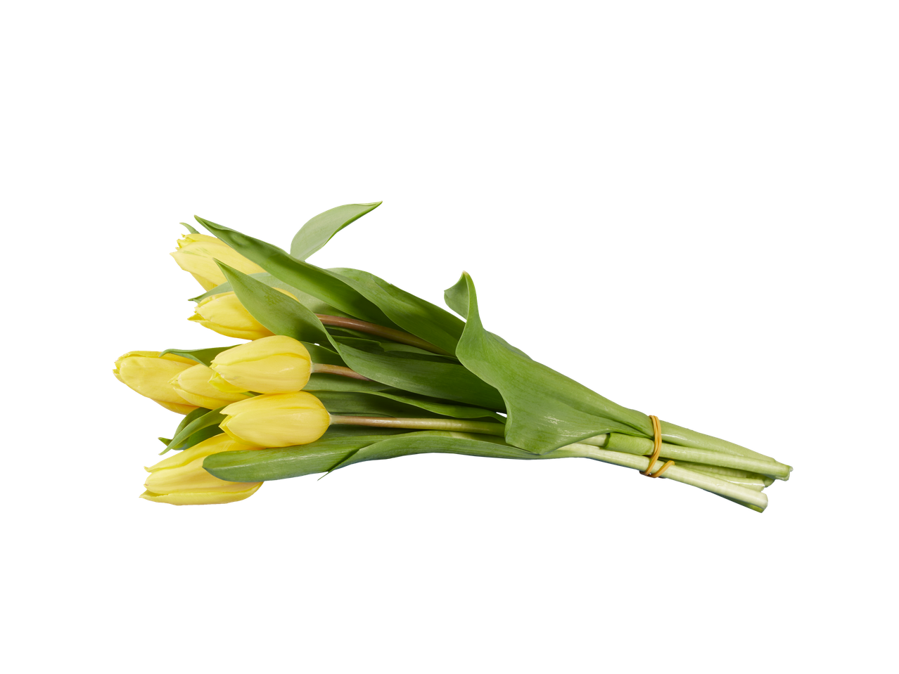 Buquê de tulipas amarelas.