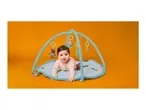 Baby on a playmat with an activity arch and hanging toys.