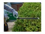 Person trimming a green hedge with an electric hedge trimmer.