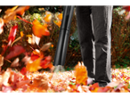 Leaf blower clearing autumn leaves.