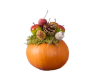 Decoratieve pompoen met mos, dennenappels en kleine appeltjes op een zwarte achtergrond.