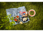 McEnnedy BBQ Marshmallows op een picknickdeken met fruitspiesjes en een frisdrank.