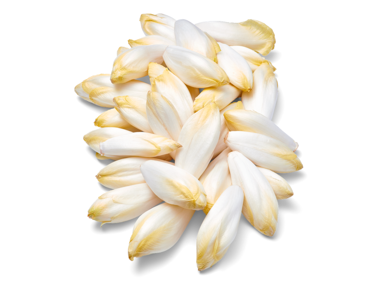 Een hoop verse, lichtgele witloof, geïsoleerd op een zwarte achtergrond.