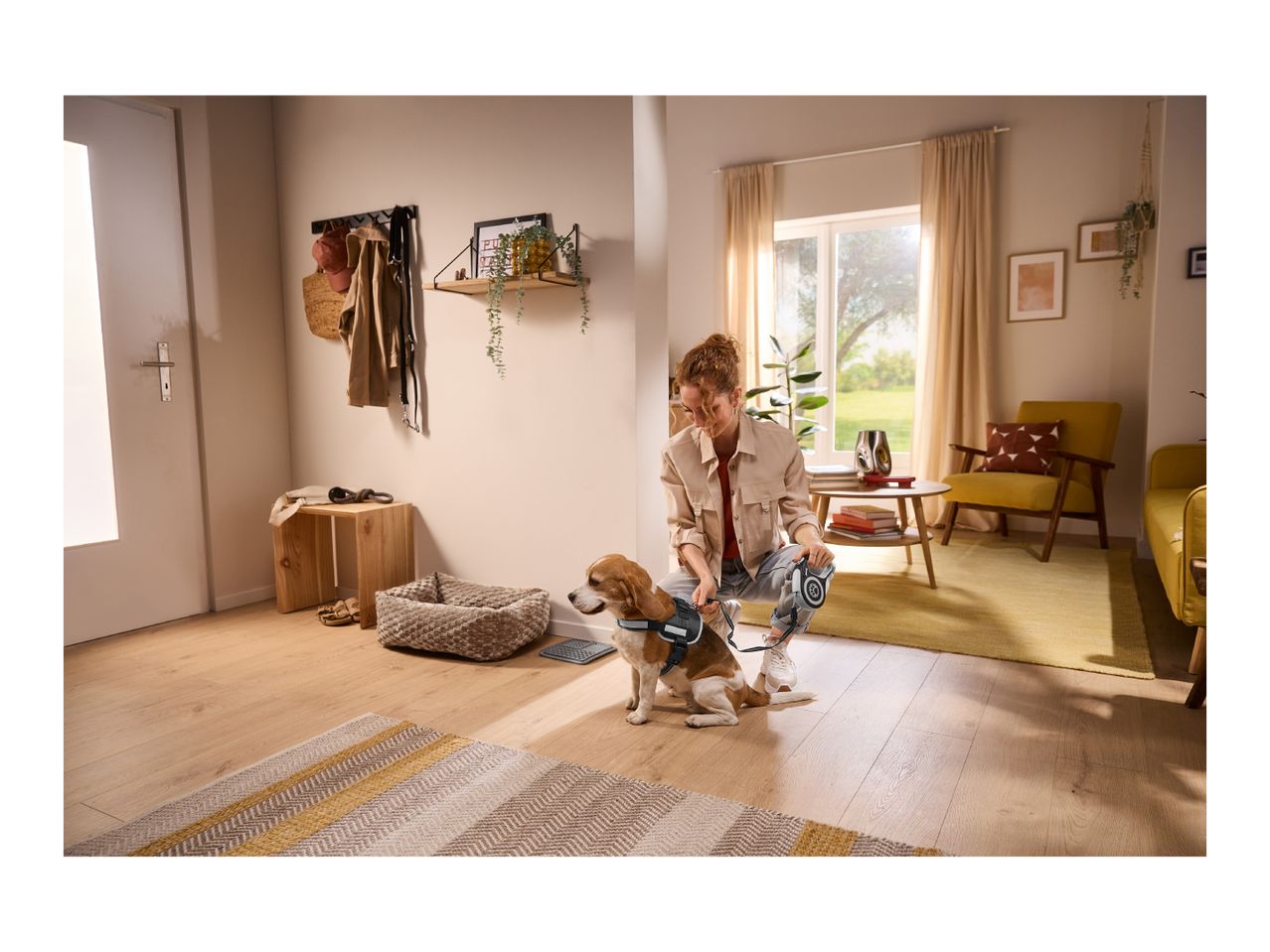Woman attaching a leash to a dog's harness in a cozy living room.