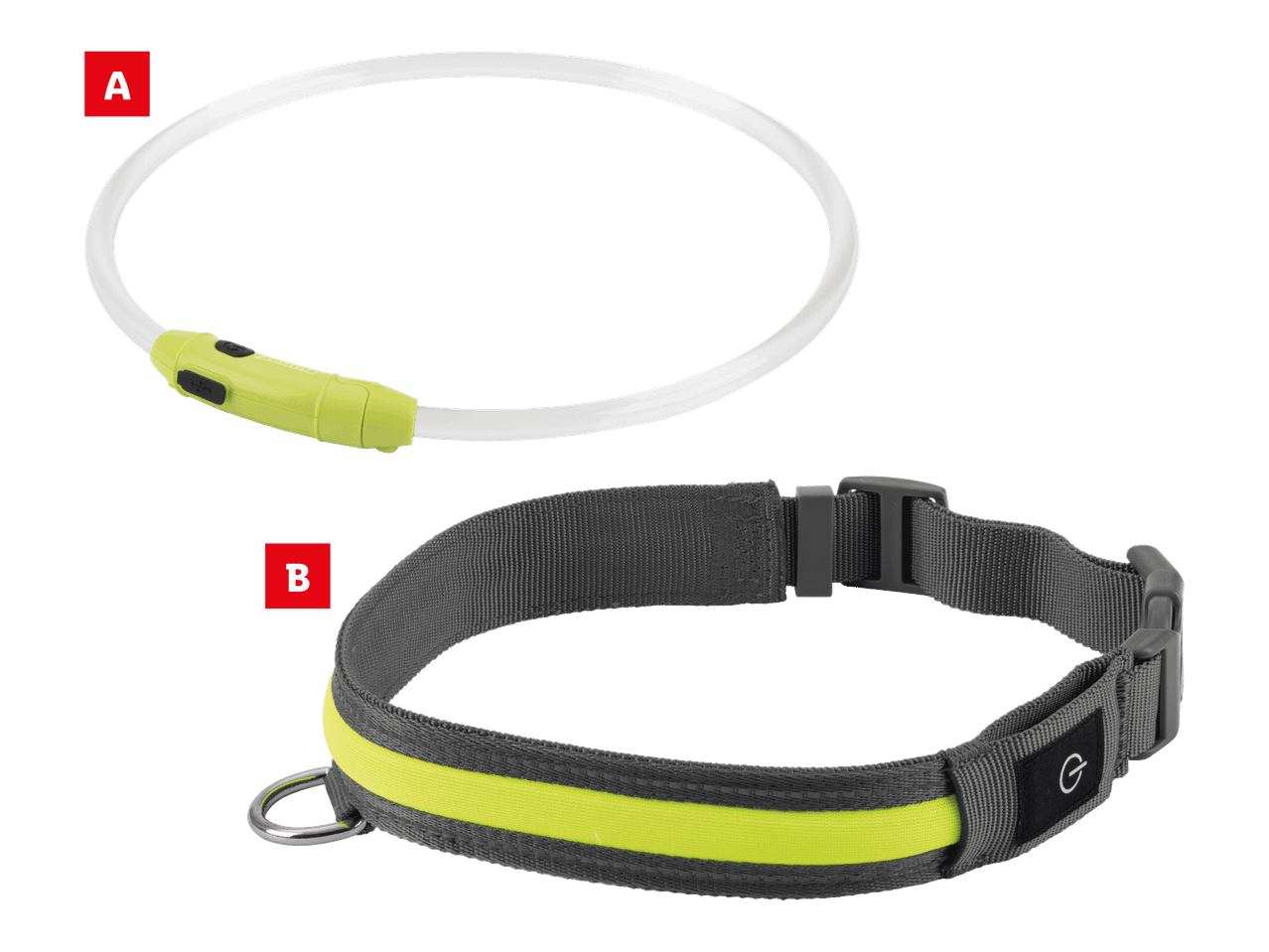 Koiran led-kaulapanta