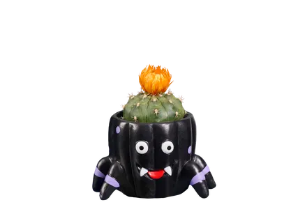 Cactus in keramiek
