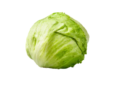 Gūžinė salota Iceberg