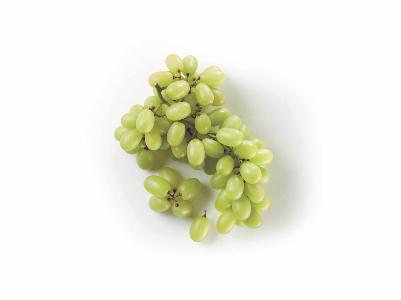 White Grapes