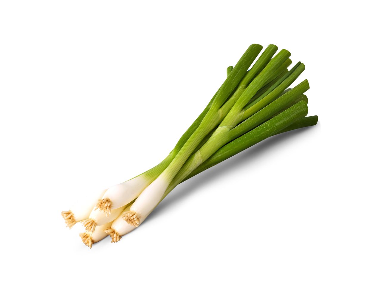 A bunch of fresh green spring onions with white bulbs and roots