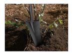 A black shovel digging into soil next to a small plant with exposed roots, surrounded by wood chips.