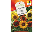 3 packs of mixed dwarf sunflower seeds.