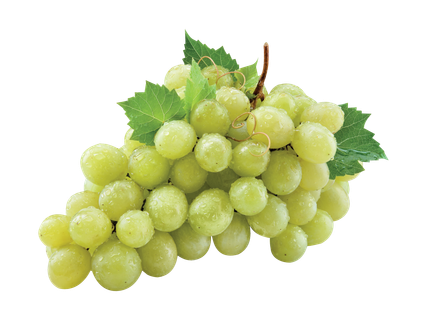 Hele viinamari seemneteta