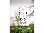 Treliça de jardim com rosas e plantas.