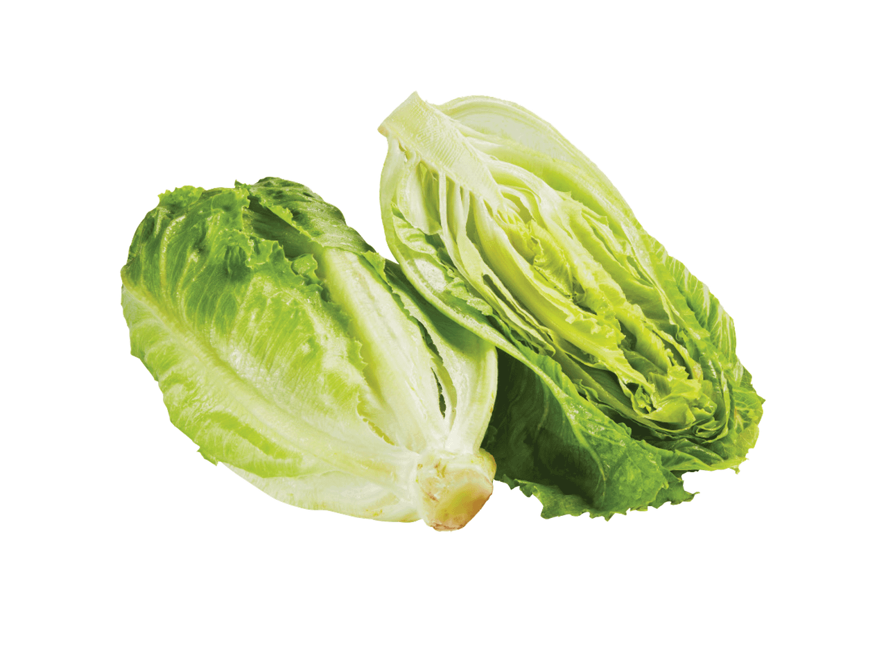 Dvi perpjautos romaninės salotos ant juodo fono.