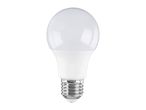 White LED light bulb with a screw base