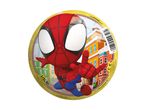 A Spider-Man themed bouncy ball.