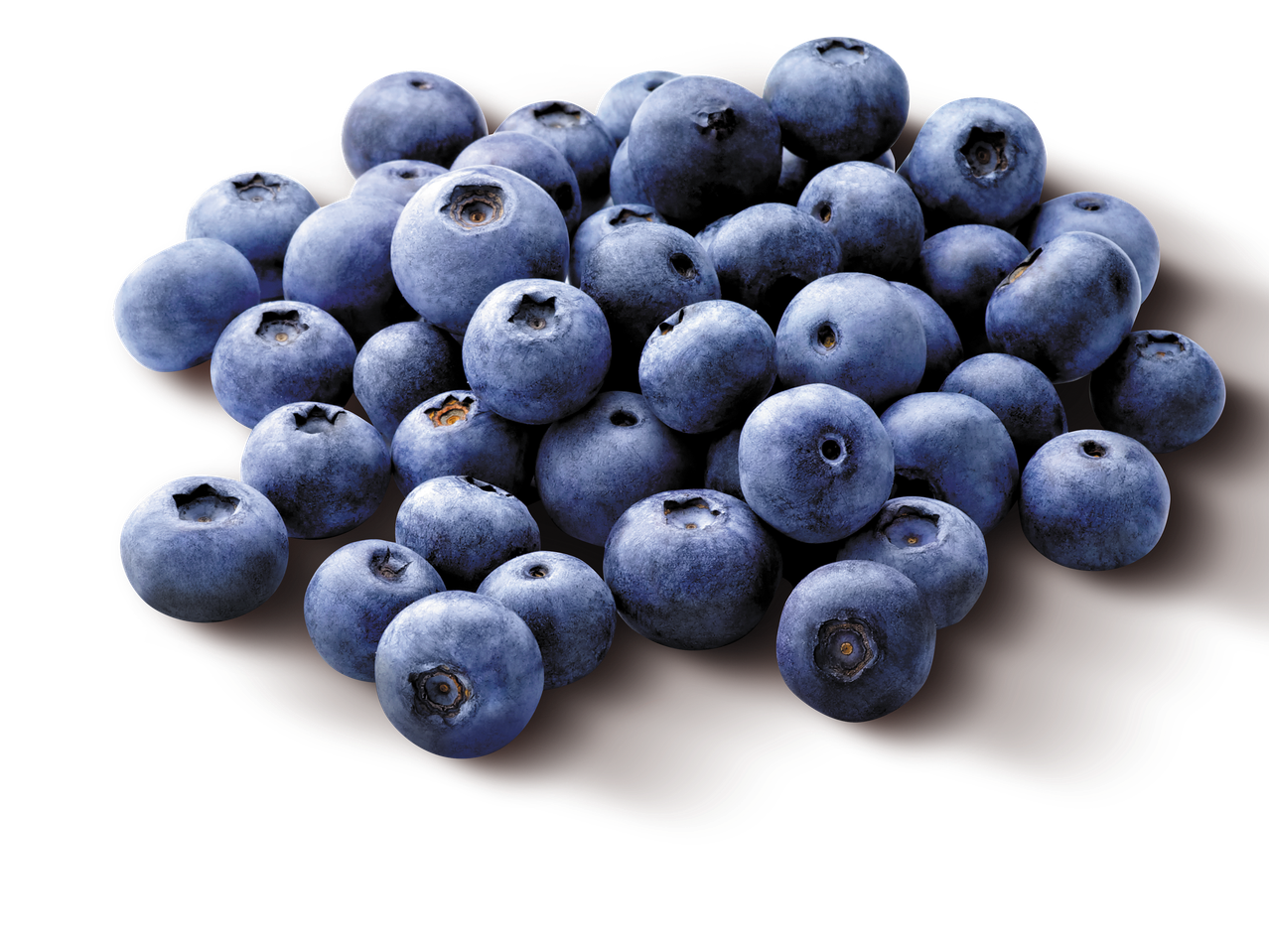 Borówki amerykańskie