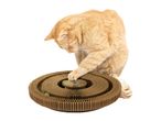 Ginger cat playing with a circular cardboard cat scratcher toy with balls.