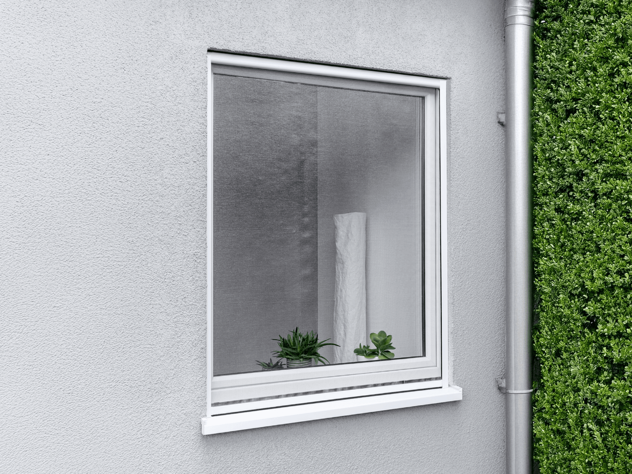 Ein weißes Fenster in einer weißen Wand, neben einer grünen Hecke.