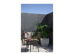 Outdoor patio with a small black table, drinks, snacks, and a large potted plant.