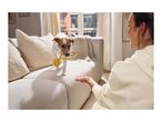 A small dog on a sofa holding a yellow rope toy in its mouth, looking at its owner.