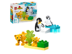 Duplo set with penguins and lions, 10 pieces, for ages 2+.