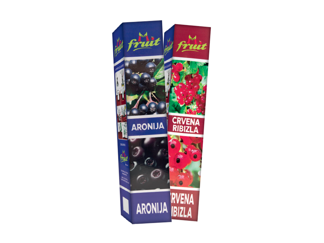 Dva pakovanja sadnica voća, aronije i crvene ribizle, sa slikama bobica.
