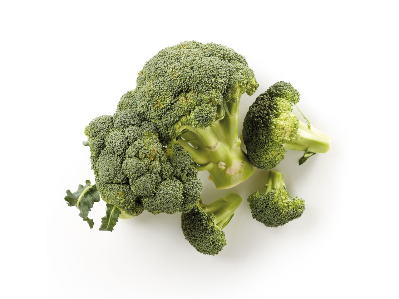 Broccoli