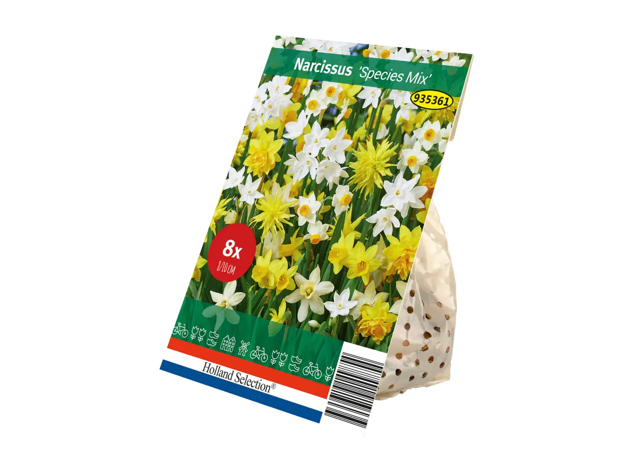 A package of eight Narcissus Species Mix flower bulbs.
