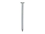 A single, silver-colored nail with a flat head and pointed tip, standing upright against a white background.