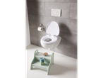 Un WC cu capac pentru copii și un scaun de lemn pentru copii.