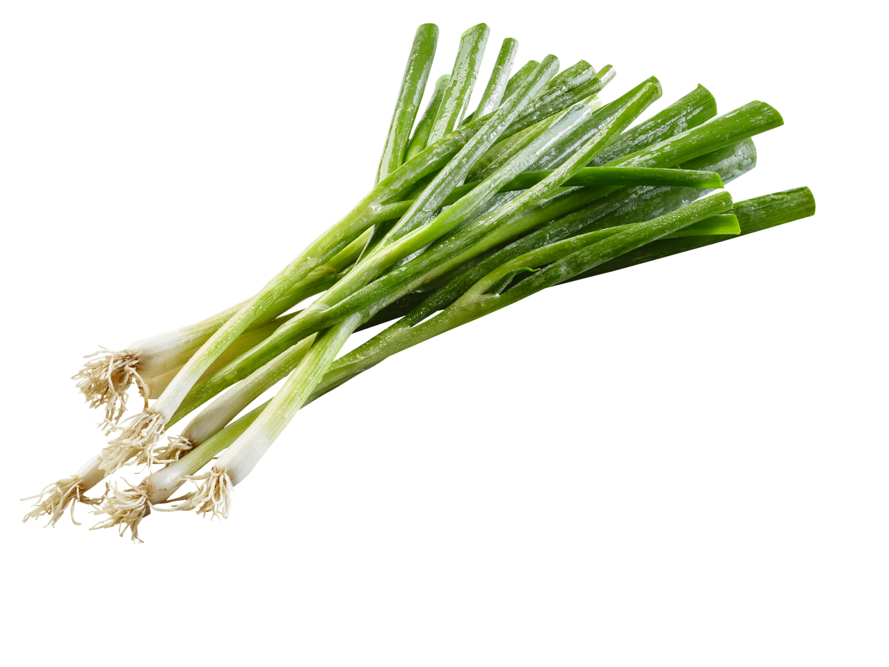 Verse groene uien.