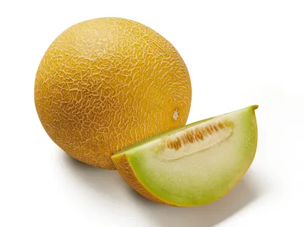 Galiamelone