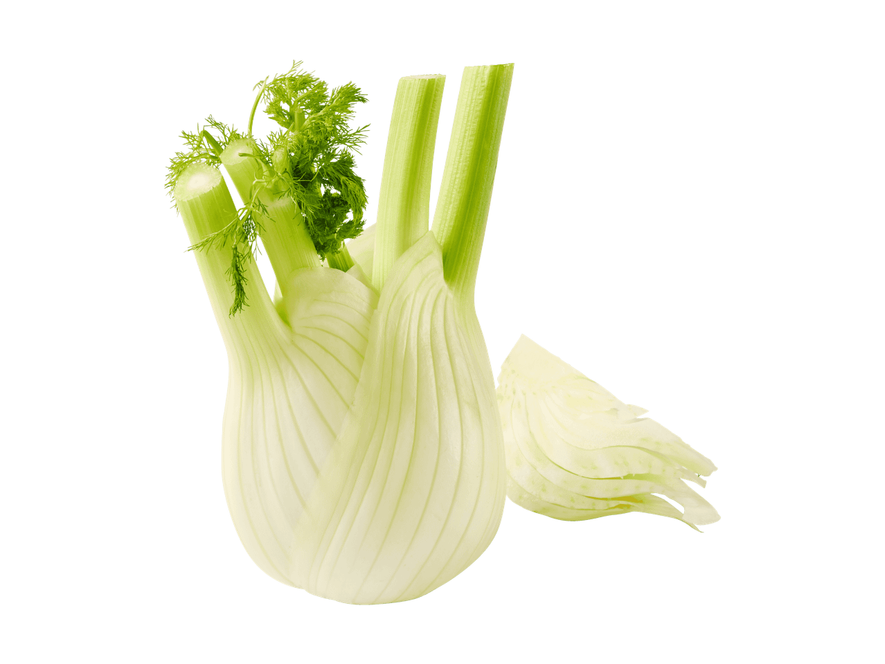 Frische Fenchelknolle mit grünen Stielen und Blättern, dazu geschnittene Fenchelstücke.