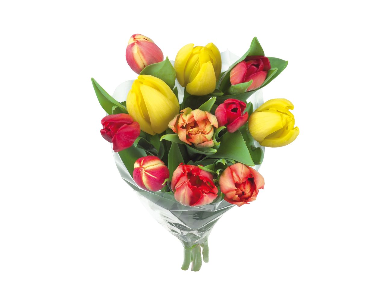 Μια ανθοδέσμη από κόκκινες, κίτρινες και πορτοκαλί τουλίπες τυλιγμένες σε διαφανές πλαστικό.
